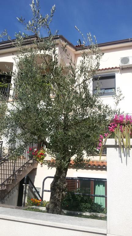 Apartment Ljubica Vrsar Exteriér fotografie