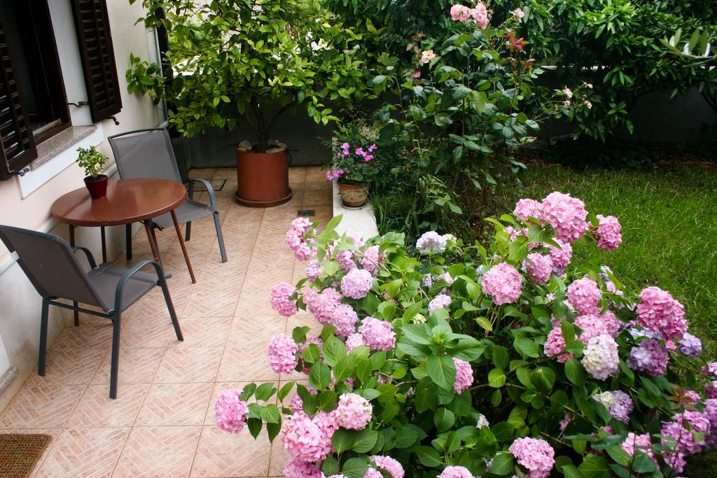 Apartment Ljubica Vrsar Exteriér fotografie